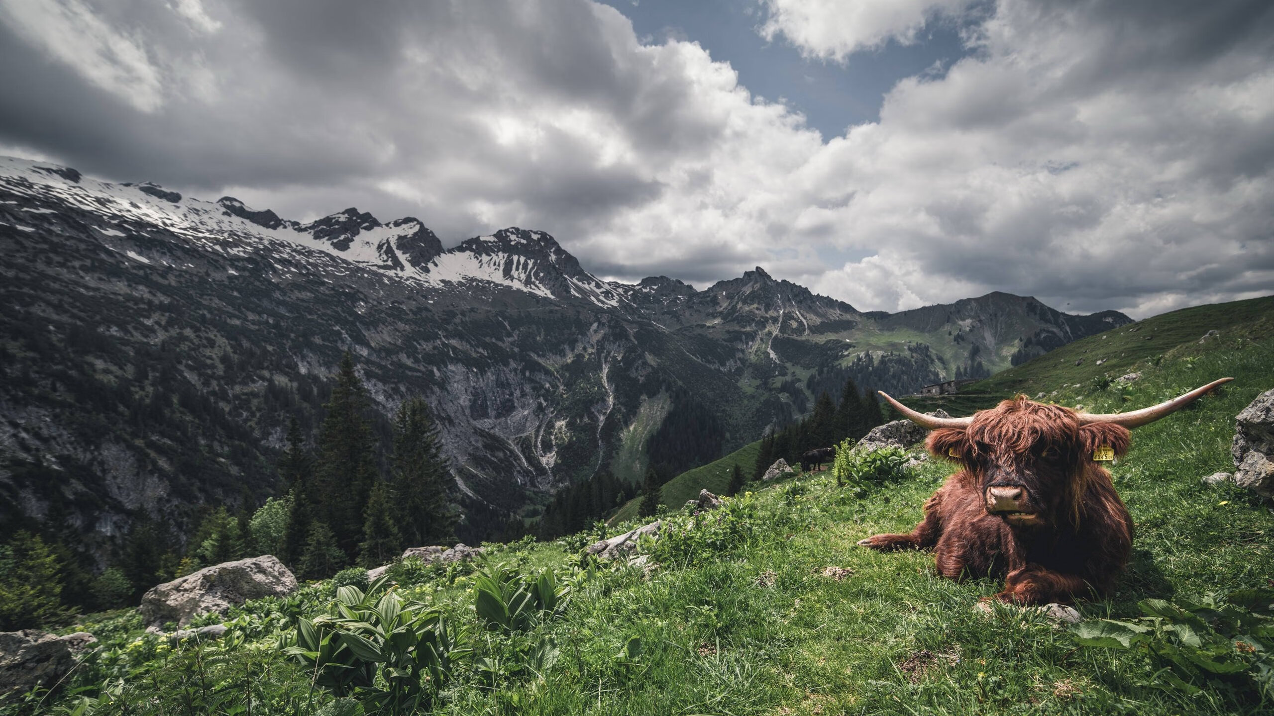 今晚，杜兰特把油门踩到底
