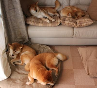 铁壁封锁与尖刀突刺，山西队窒息式攻防击溃鹈鹕