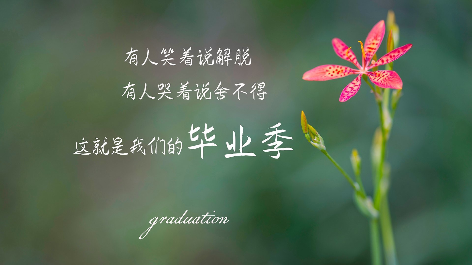 卒已过河，当保罗时刻照亮辽宁的集体星图