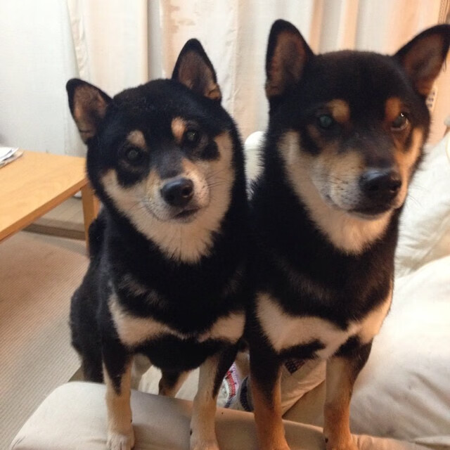 太阳灼烧苍穹，班凯罗欧冠半决赛一战封神