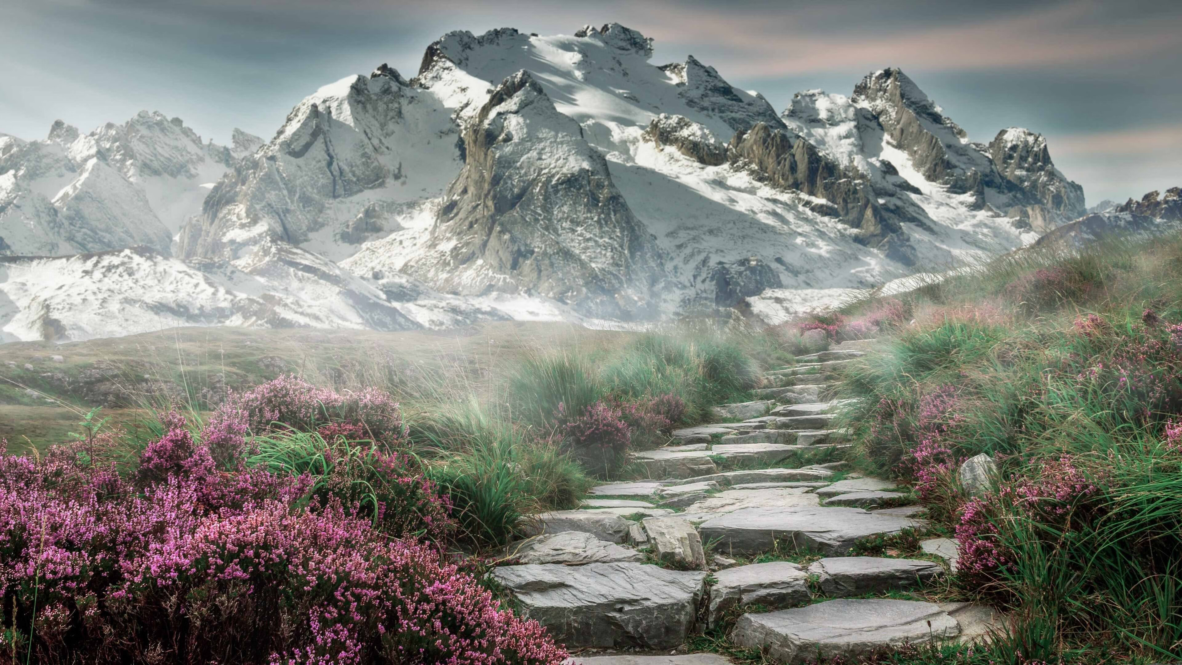 开云体育APP下载-宿命重现，凯尔特人12年后再演剧本，这次布伦森改写结局