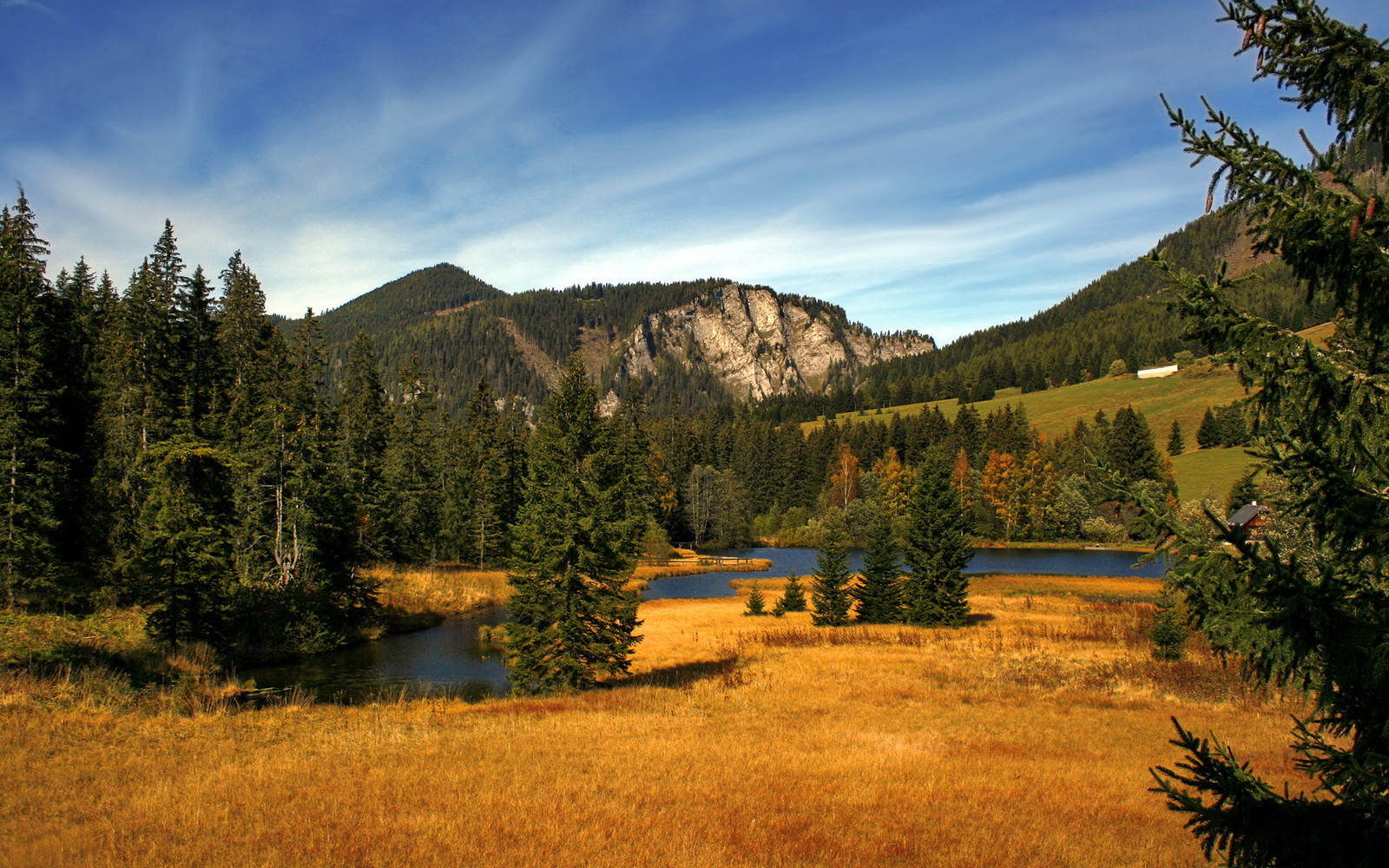 速度与激情的交响—F1揭幕战周冠宇首秀惊艳，奇才双子星轰垮快船上演跨界狂欢