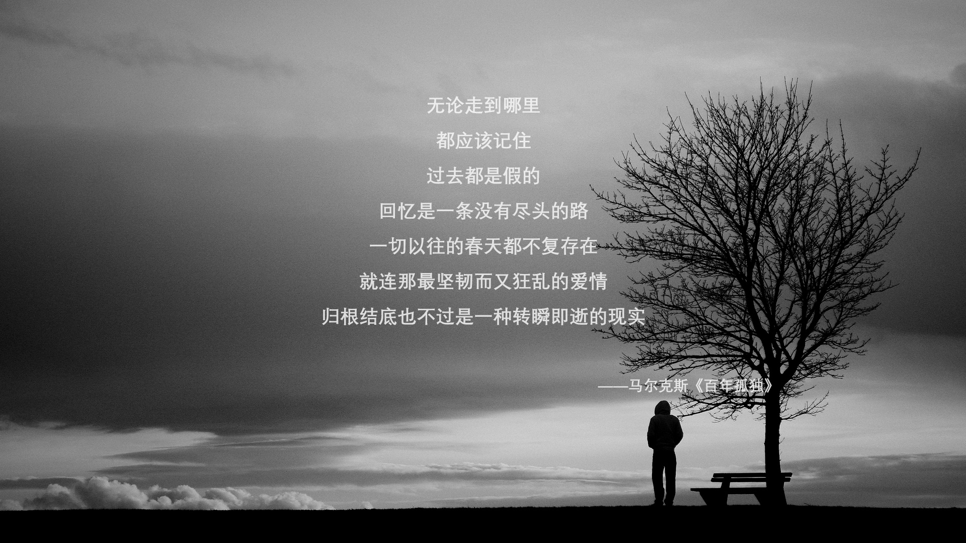 当星月防线遭遇非洲咆哮,奥斯梅恩用统治级数据刻下新时代印记