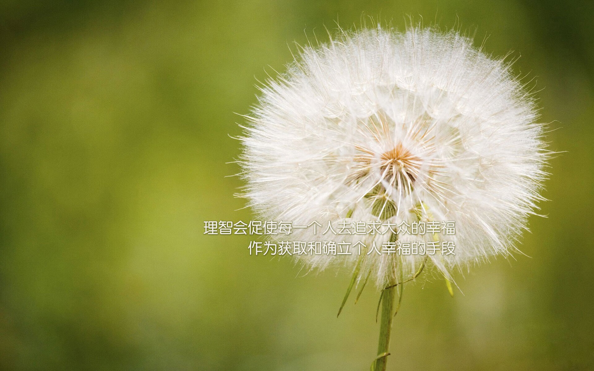 绿衫军力克凤凰城!拉文末节15分化身关键先生