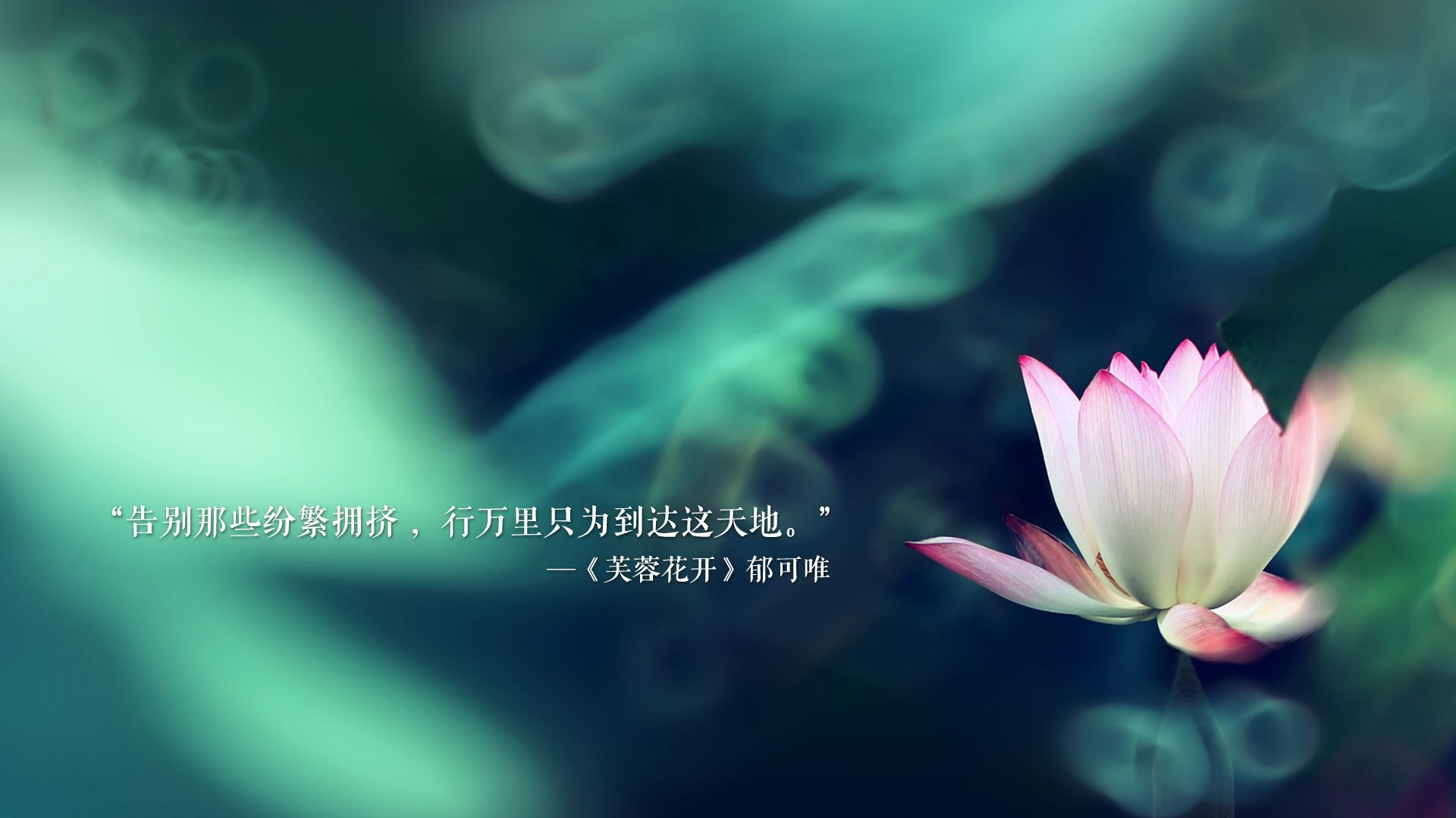 富安健洋引爆沙特风暴，亚洲资本如何终结那不勒斯的欧洲旧梦？