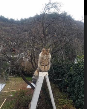 贝恩攻防一体诠释现代篮球核心价值，奇才团队协作力克山西