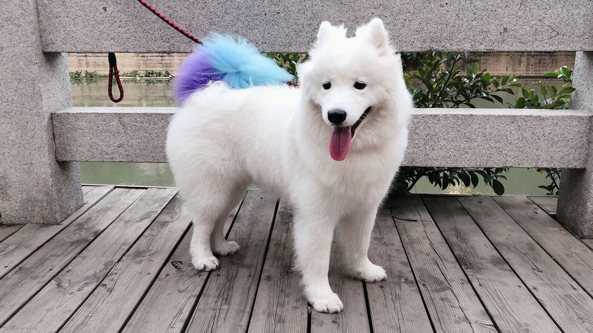 他划亮火柴时,没人想到会烧掉整个系列赛