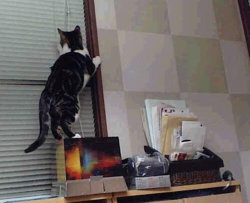 巨星闪光与团队碾压,格纳布里破茧,厄瓜多尔震撼世界