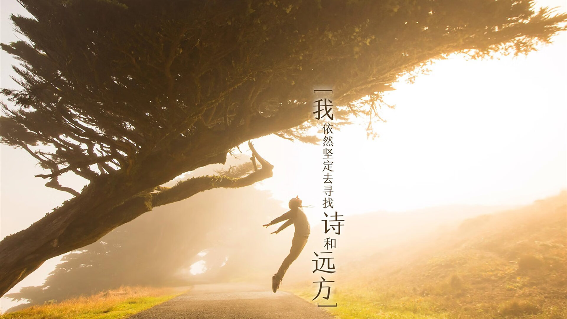 英超争冠夜,范弗利特如何在球场上演后场三分雨彻底击溃对手防线