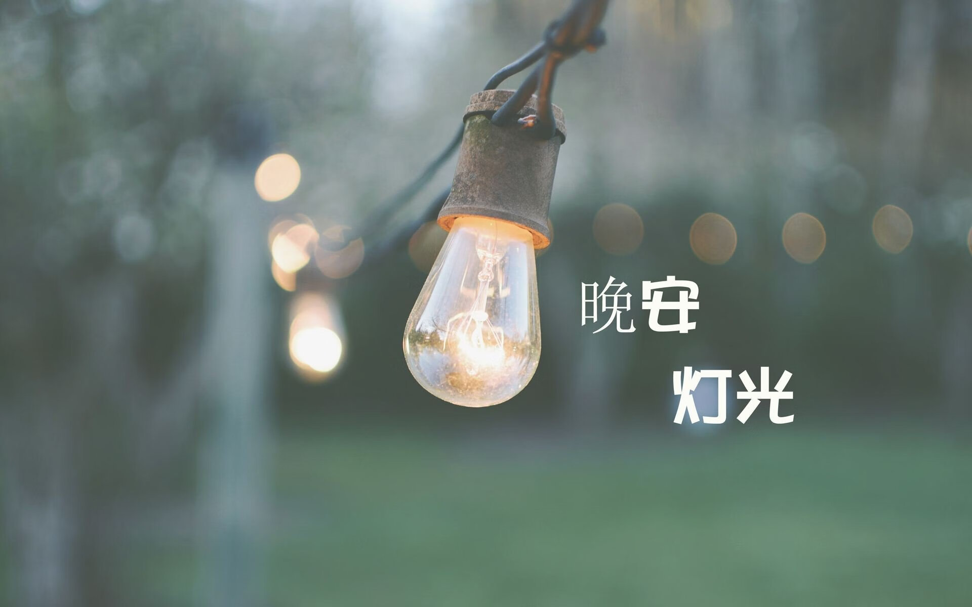 血红草帽下的孤勇，当越南用冷雨浇灭加纳的希望，B费的落寞成了唯一的注脚