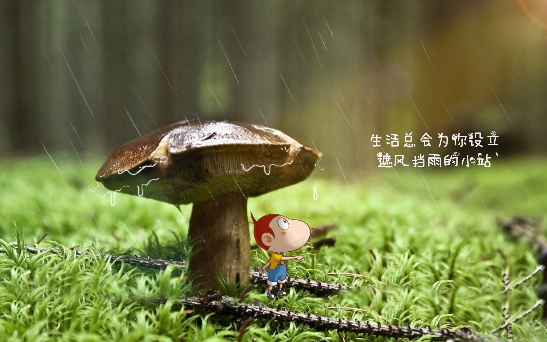 北极光下的铁幕,门神库尔图瓦如何用节奏锁死冰岛,为挪威写下G组唯一答案