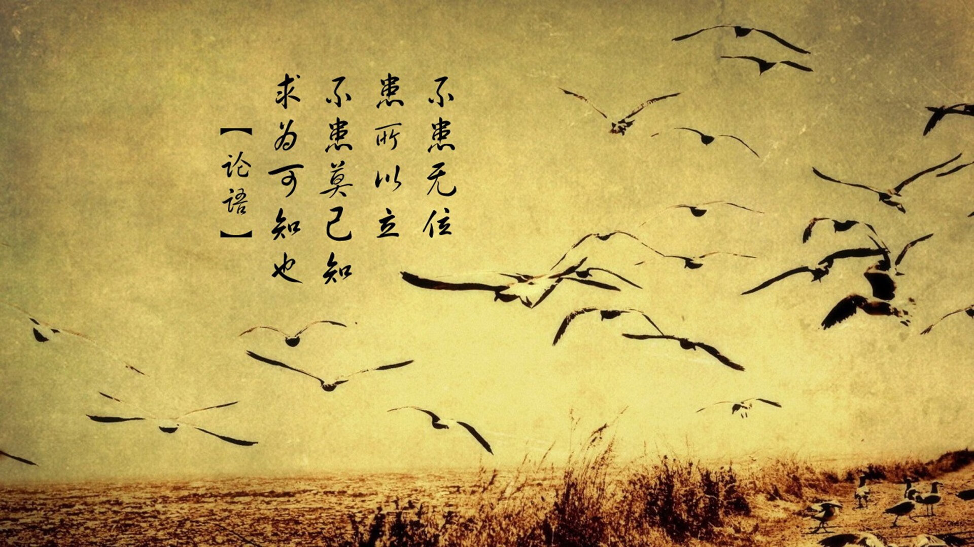 告别之战的唯一解药,塔雷米与保加利亚足球的最后一夜